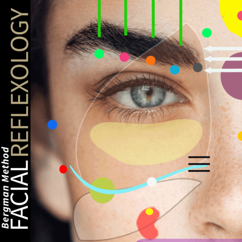 Image of Facial Reflexology Zones